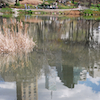Farras's photo