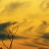 Farras's photo